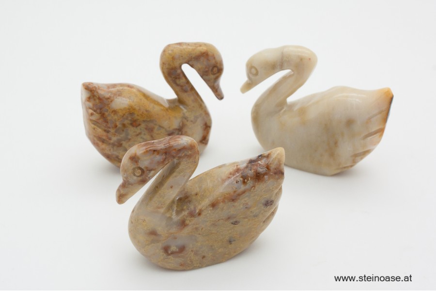 Schwan Speckstein Gr.S